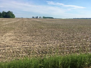 Whitley County, Indiana farmland - LAND AUCTION - 156+/- ACRES OFFERED IN 5 TRACTS IN WHITLEY COUNTY, INDIANA
